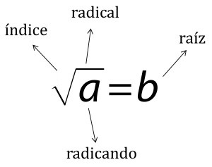 Partes de la raíz cuadrada