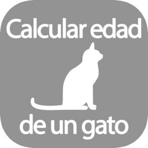 Calcular edad de un gato