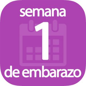 Semana 1 de embarazo