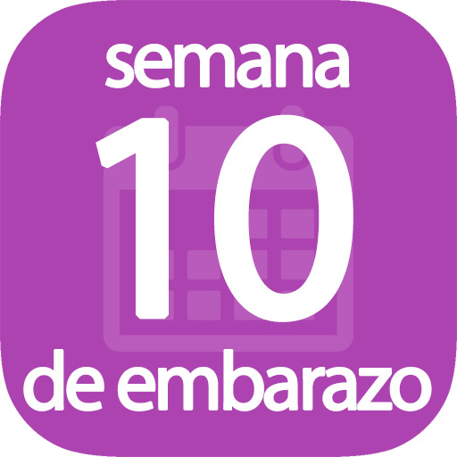 Semana 10 de embarazo