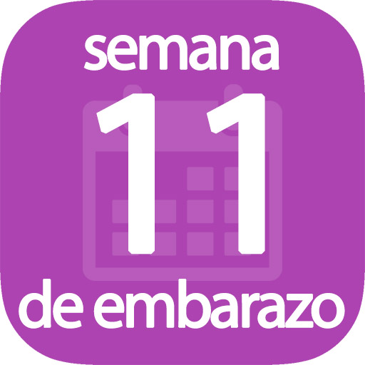 Semana 11 de embarazo