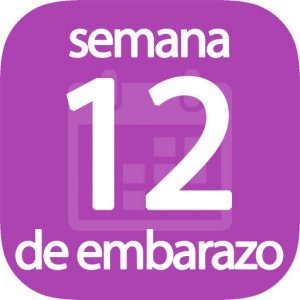 Semana 12 de embarazo