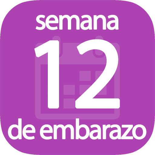 Semana 12 de embarazo