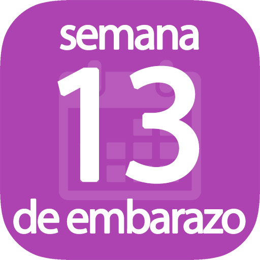 Semana 13 de embarazo