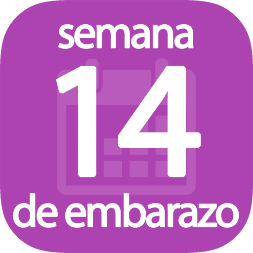 Semana 14 de embarazo