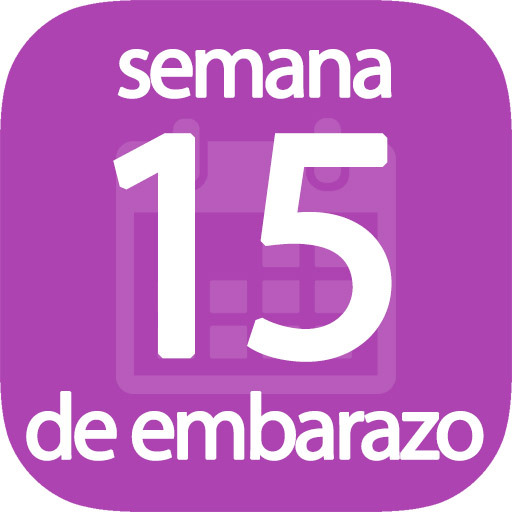 Semana 15 de embarazo