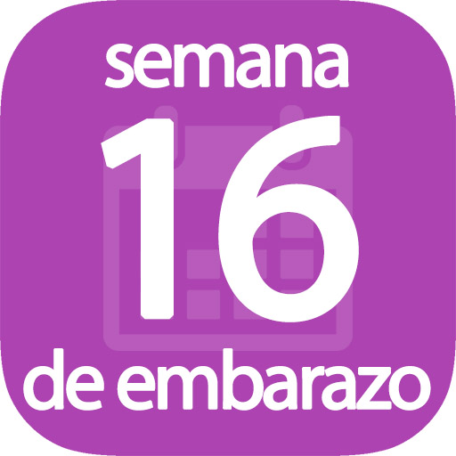 Semana 16 de embarazo