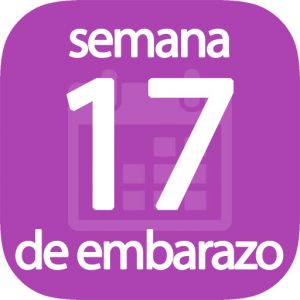 Semana 17 de embarazo