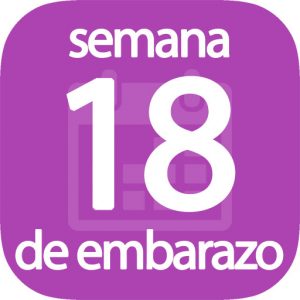 Semana 18 de embarazo