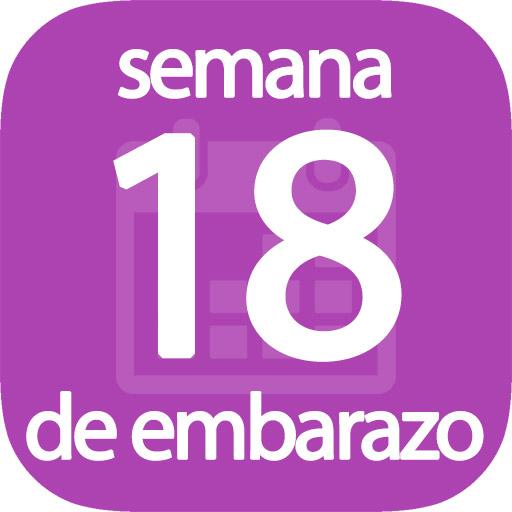 Semana 18 de embarazo