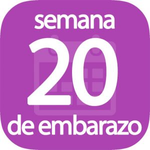 Semana 20 de embarazo