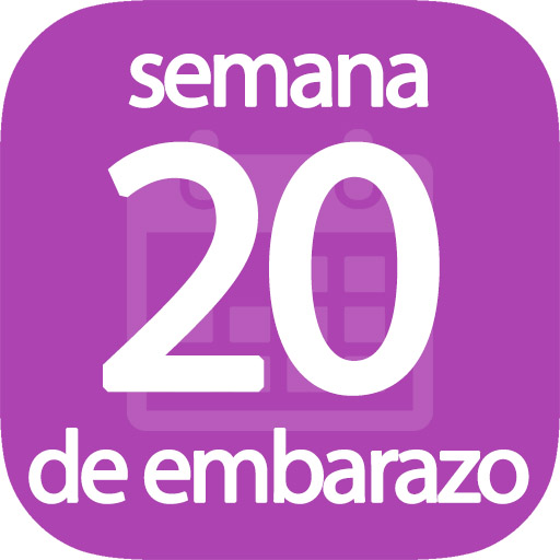 Semana 20 de embarazo