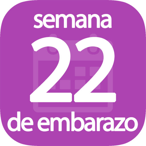 Semana 22 de embarazo