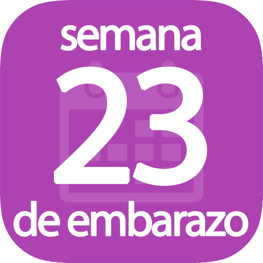 Semana 23 de embarazo