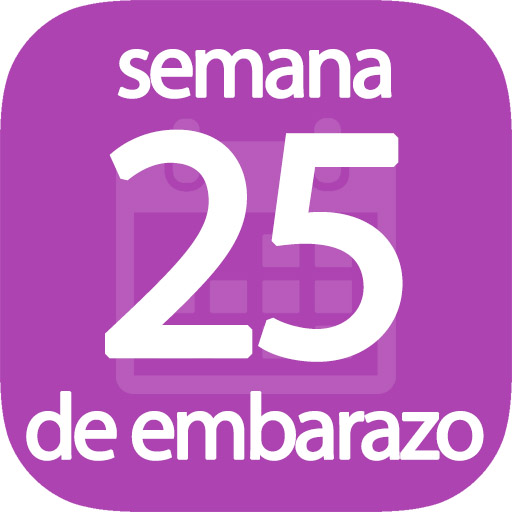 Semana 25 de embarazo