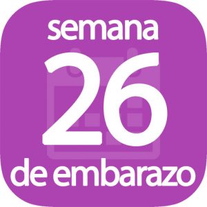 Semana 26 de embarazo