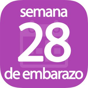 Semana 28 de embarazo