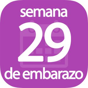 Semana 29 de embarazo