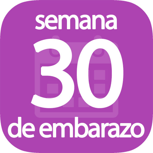 Semana 30 de embarazo