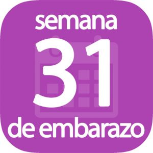 Semana 31 de embarazo