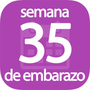 Semana 35 de embarazo