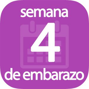 Semana 4 de embarazo