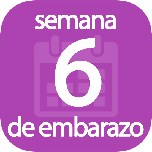 Semana 6 de embarazo