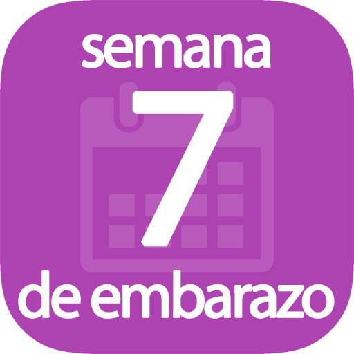 Semana 7 de embarazo