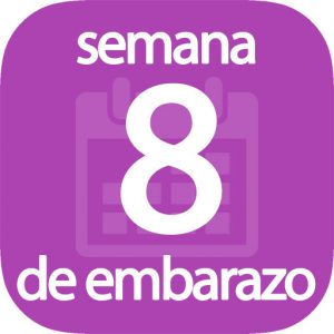 Semana 8 de embarazo