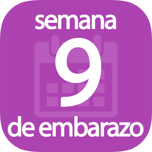 Semana 9 de embarazo