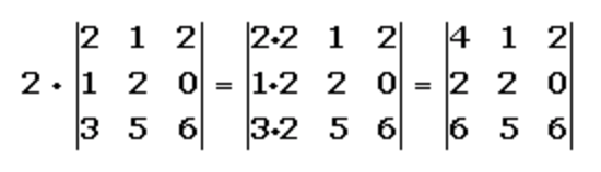 Multiplicación de un determinante por un número real