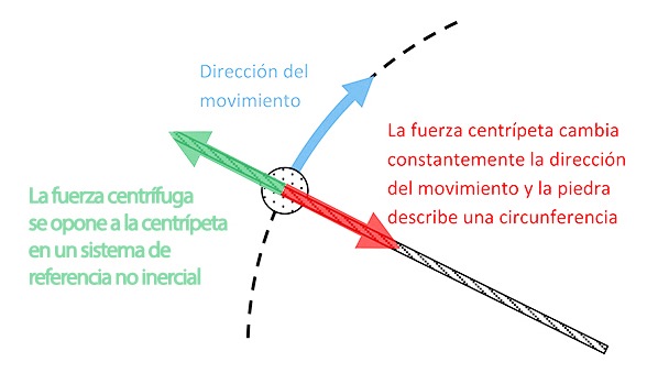 Fuerza centrífuga